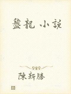 盘龙 小说