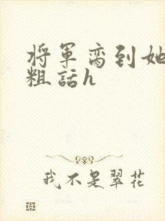 将军脔到她哭h粗话h封面