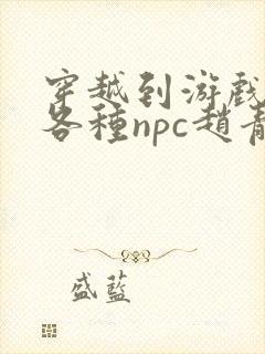 穿越到游戏里和各种npc赵青蔓