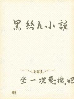 黑丝h小说