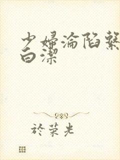 少妇沦陷系列之白洁封面