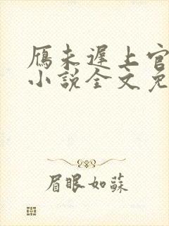 雁未迟上官穿越小说全文免费阅读封面