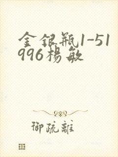 金银瓶1-51996杨敏封面