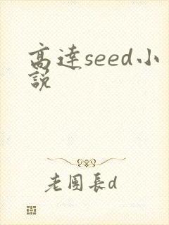 高达seed小说封面