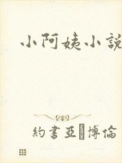 小阿姨小说