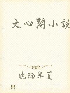 文心阁小说