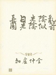 长日光阴乱作一团光阴似箭眇眇翟封面