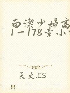白洁少妇高义第1一178章小说