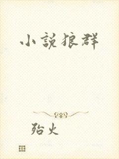 小说狼群