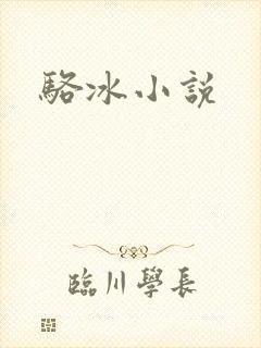 骆冰小说