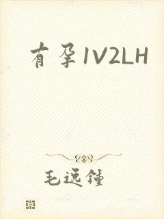 有孕1V2LH