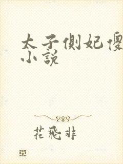 太子侧妃傻乎乎小说封面