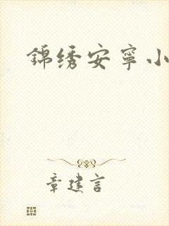 锦绣安宁小说