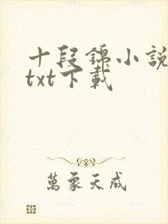 十段锦小说全本txt下载