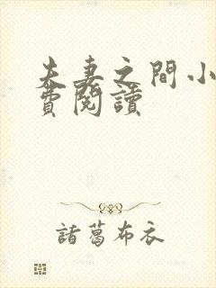 夫妻之间小说免费阅读封面