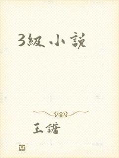 3级小说