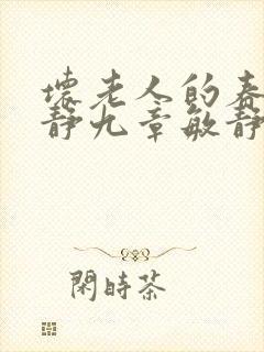 坏老人的春天敏静九章敏静封面