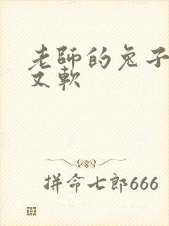 老师的兔子又大又软