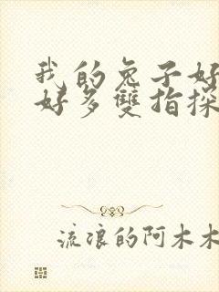 我的兔子好软水好多双指探洞小说封面