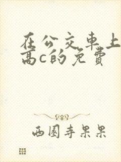 在公交车上弄到高c的免费