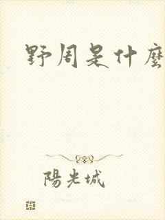 野周是什么意思封面