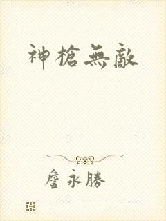 神枪无敌封面