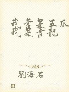 我爹是五爪金龙我是青龙封面