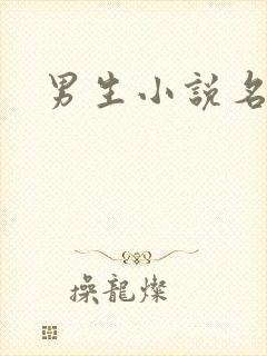 男生小说名字