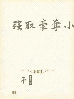 强取豪夺小说