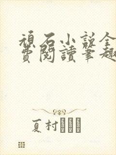 顽石小说全文免费阅读笔趣阁封面