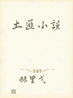 土匪小说