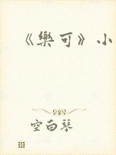 《乐可》小说封面