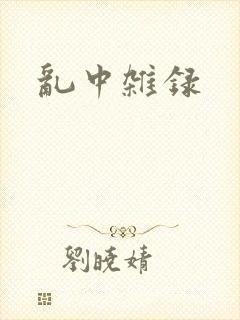 乱中杂录