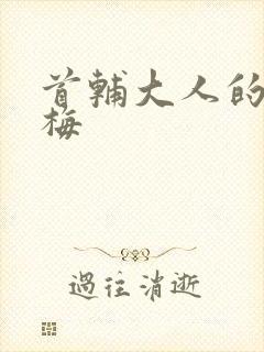 首辅大人的小青梅封面