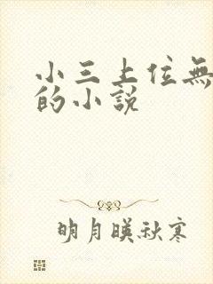 小三上位无三观的小说