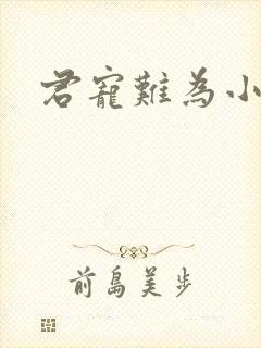 君宠难为小说