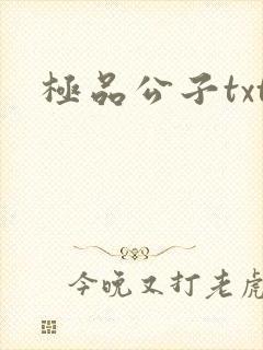 极品公子txt