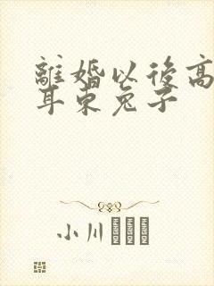 离婚以后高干 耳东兔子
