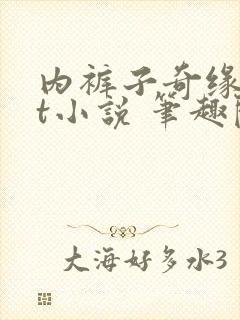 内裤子奇缘txt小说 笔趣阁