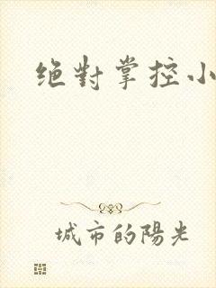 绝对掌控小说