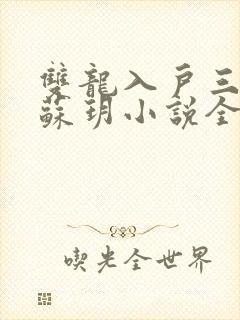 双龙入户三人行苏玥小说全文阅读封面