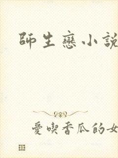 师生恋小说