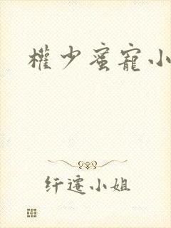 权少蜜宠小娇妻