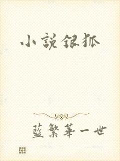 小说银狐封面