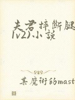 夫君摔断腿后(1v2)小说