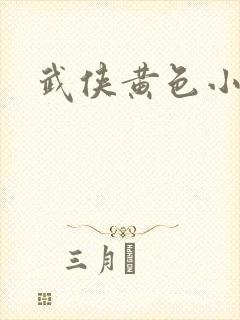 武侠黄色小说封面