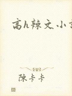 高h辣文小说
