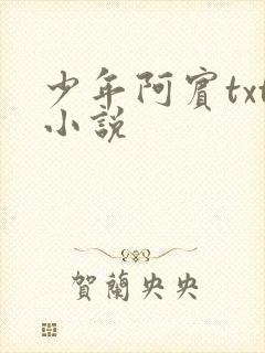 少年阿宾txt小说