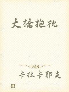 大桥抱枕