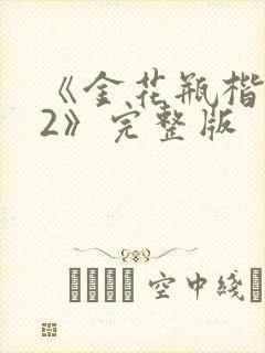 《金花瓶楷梅花2》完整版
